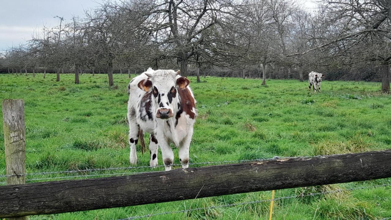 La Bourgandie Englesqueville-la-Percée Esterno foto